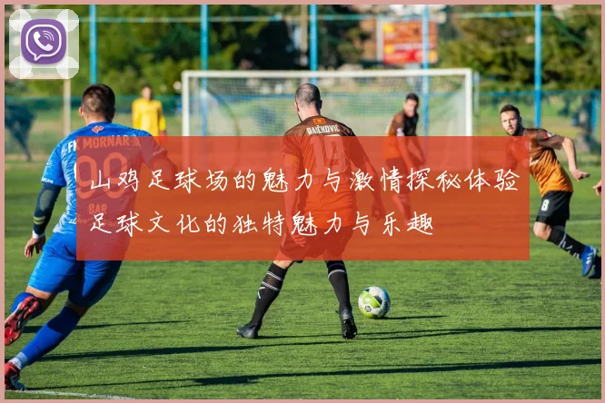 山鸡足球场的魅力与激情探秘体验足球文化的独特魅力与乐趣
